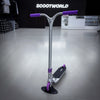 Silver/Purple